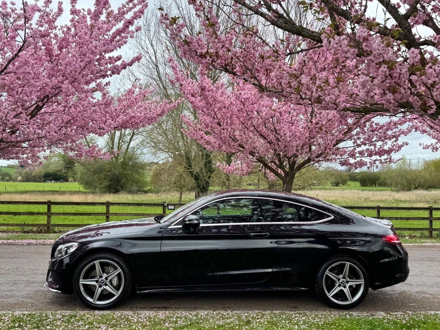 Used Mercedes-Benz C Class 2017 for sale - 78125191: Photo 9