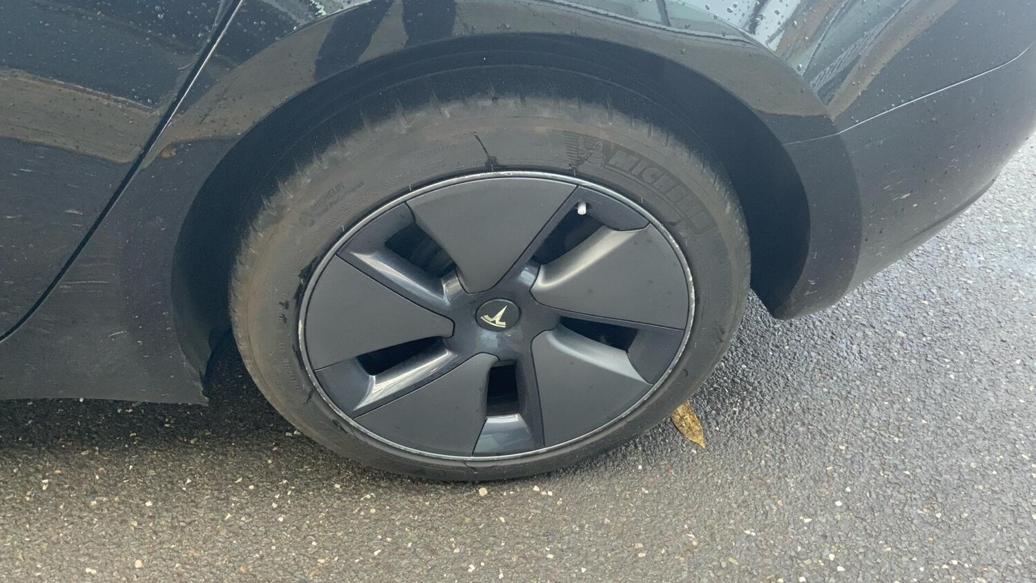 Used Tesla Model 3 2023 for sale - 76522350: Photo 39