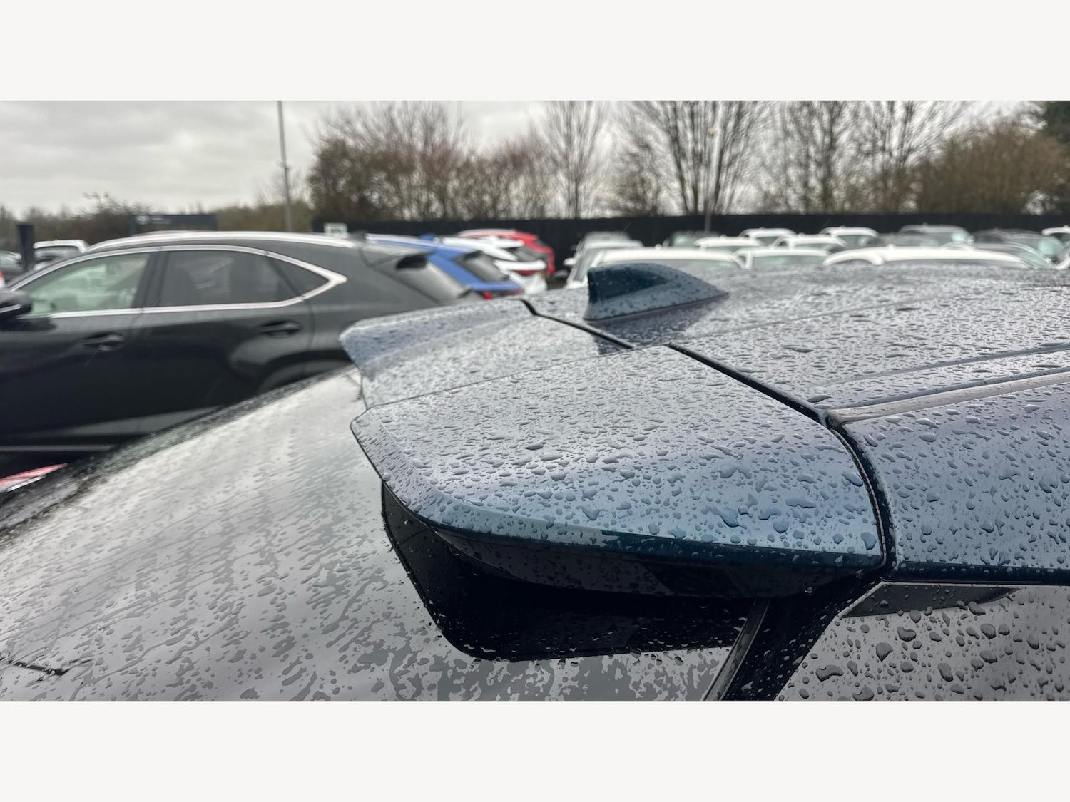 Used Toyota C-HR 2025 for sale - 77425084: Photo 25