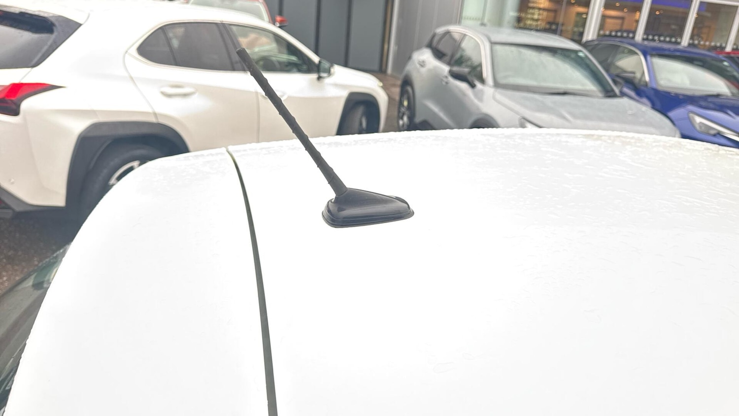 Used Volkswagen Polo 2022 for sale - 76597085: Photo 37