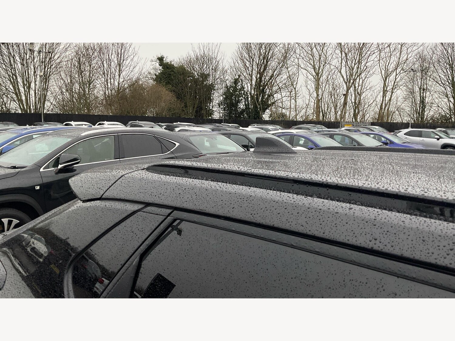 Used Toyota Other 2025 for sale - 77424976: Photo 31