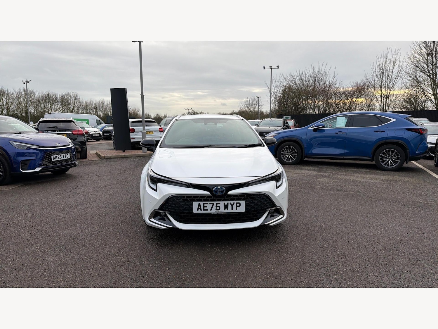 Used Toyota Corolla 2025 for sale - 77143083: Photo 17