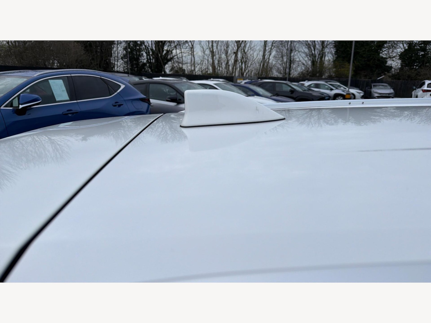 Used Toyota Corolla 2025 for sale - 77143083: Photo 25