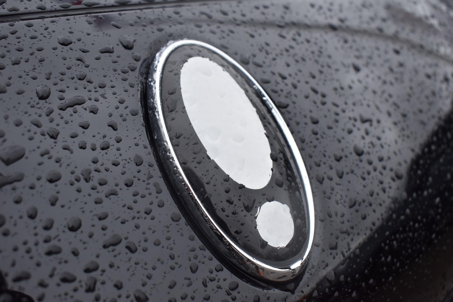 Used GWM Funky Cat 2023 for sale - 76926913: Photo 25