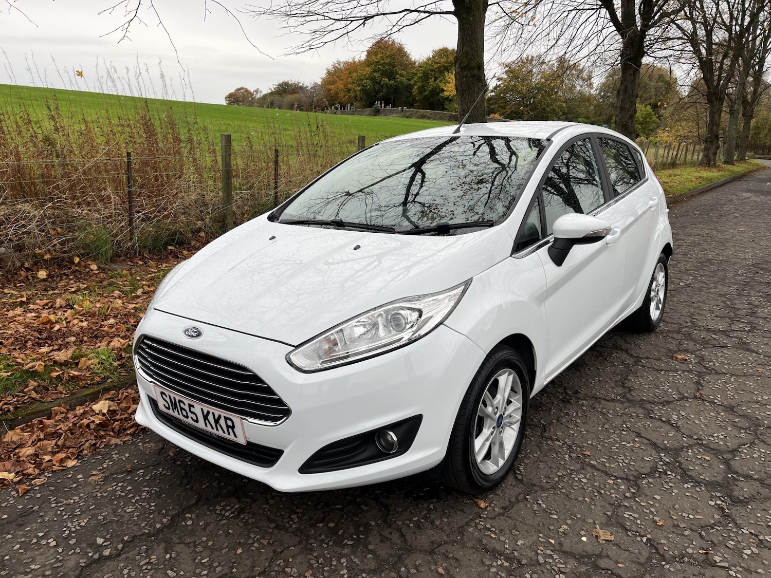 Used Ford Fiesta 2015 for sale - 76369376: Photo 21