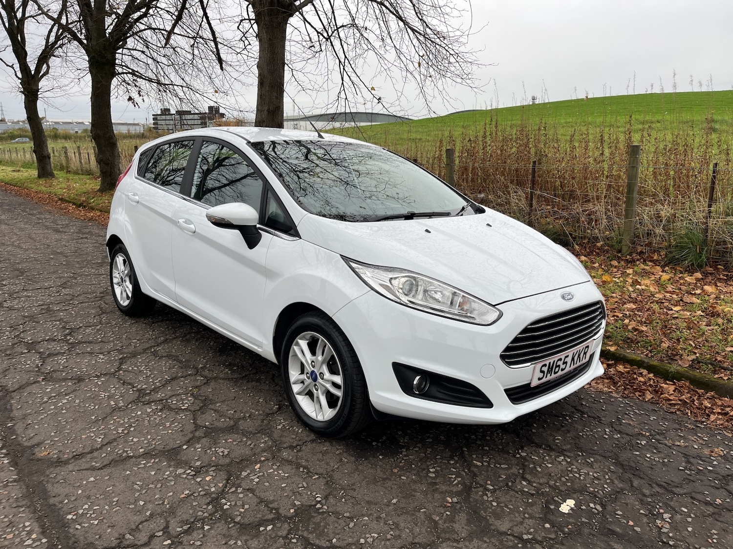 Used Ford Fiesta 2015 for sale - 76369376: Photo 4