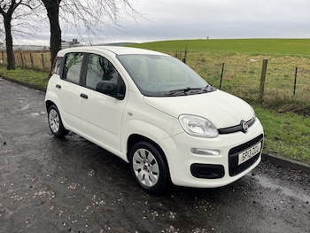 Used Fiat Panda 2013 for sale - 77635341: Photo