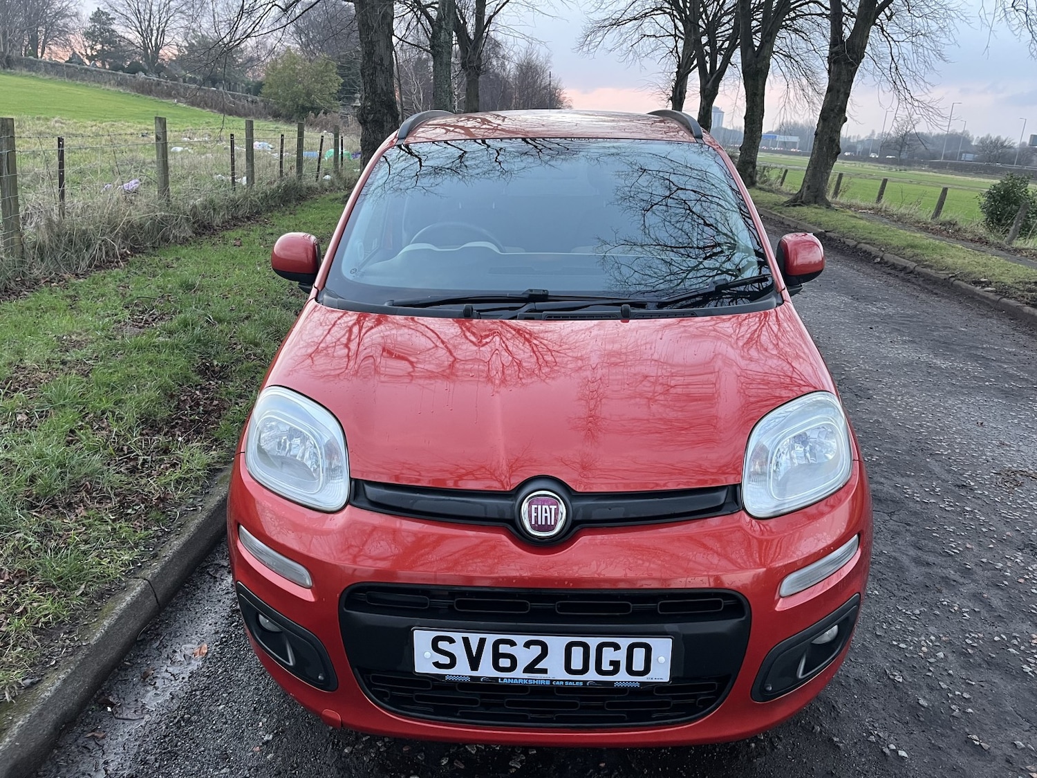 Used Fiat Panda 2012 for sale - 77314023: Photo 3