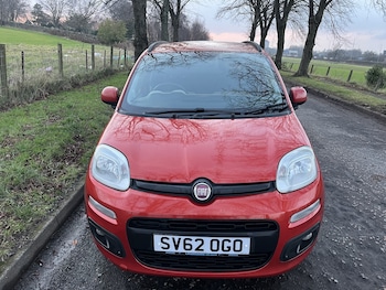 Used Fiat Panda 2012 for sale - 77314023: Photo