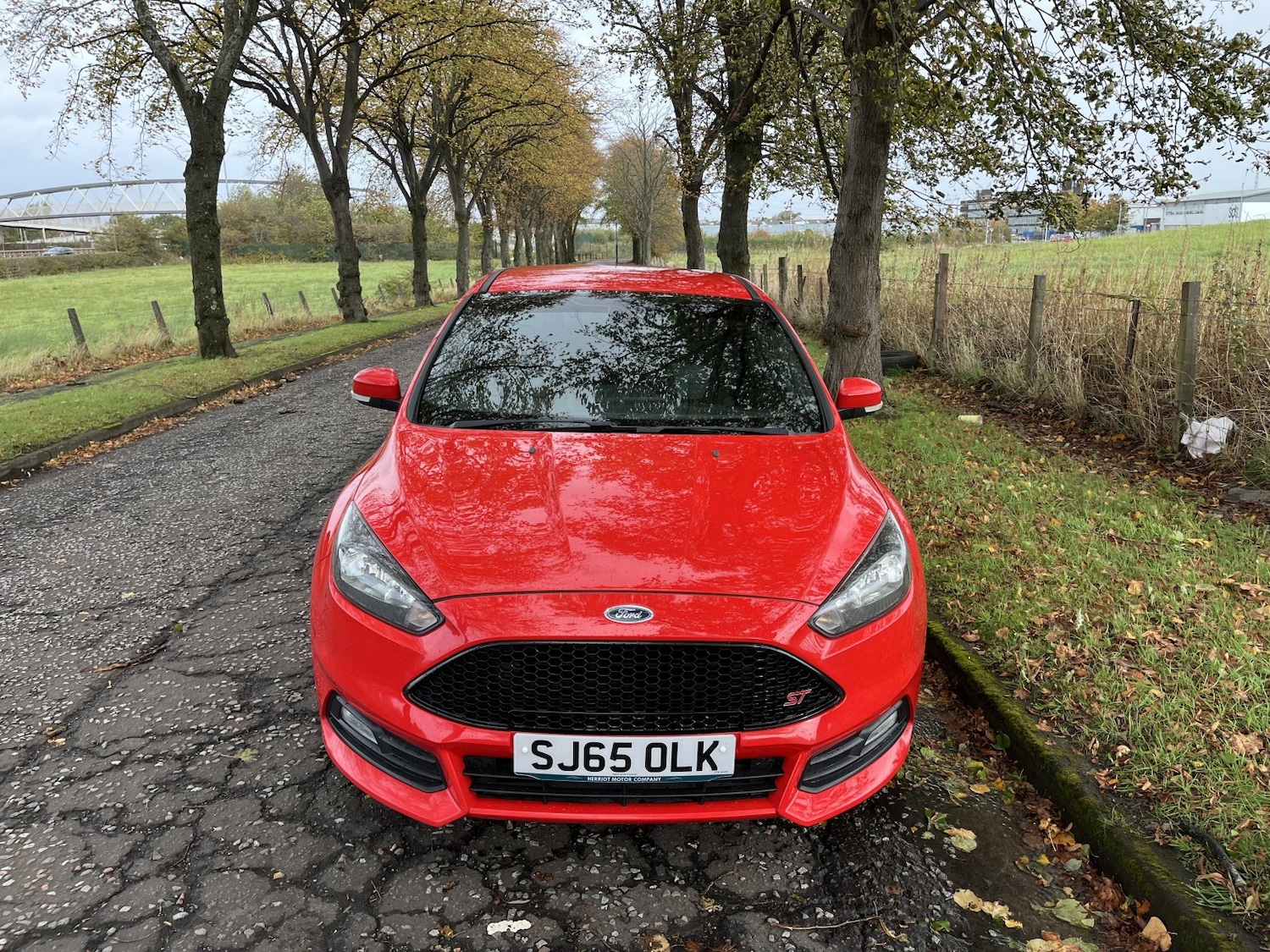 Used Ford Focus 2015 for sale - 76177075: Photo 3