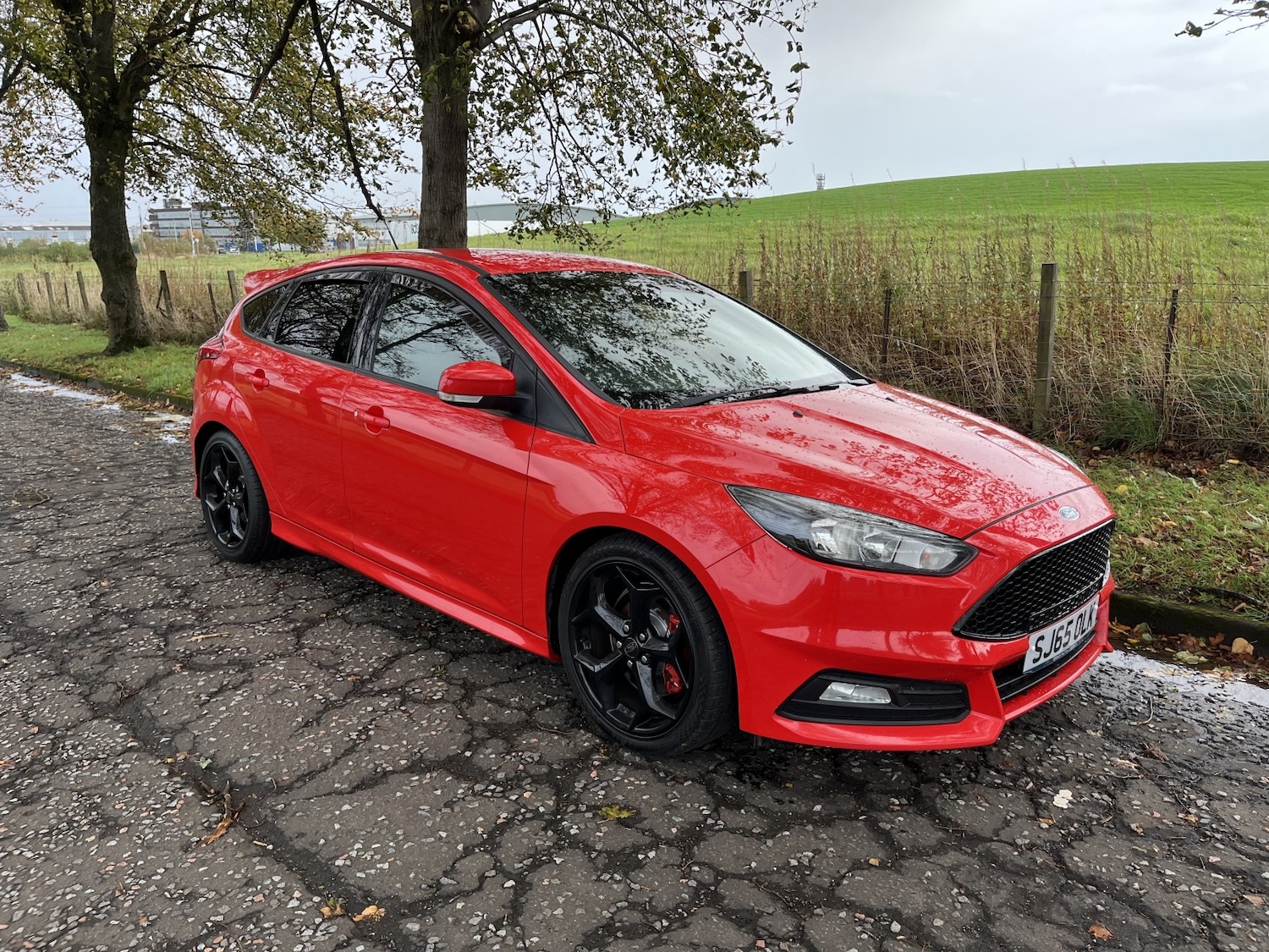 Used Ford Focus 2015 for sale - 76177075: Photo 4