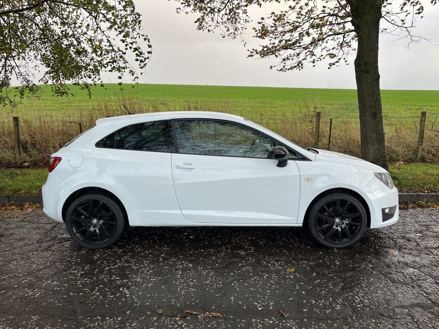 Used SEAT Ibiza 2015 for sale - 76177047: Photo 5