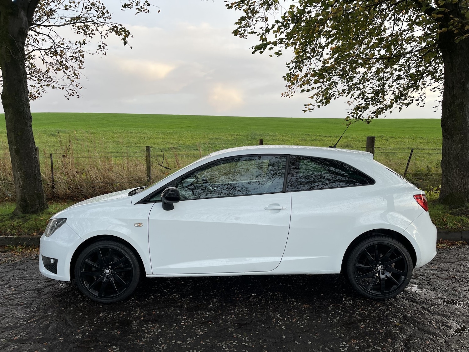 Used SEAT Ibiza 2015 for sale - 76177047: Photo 6