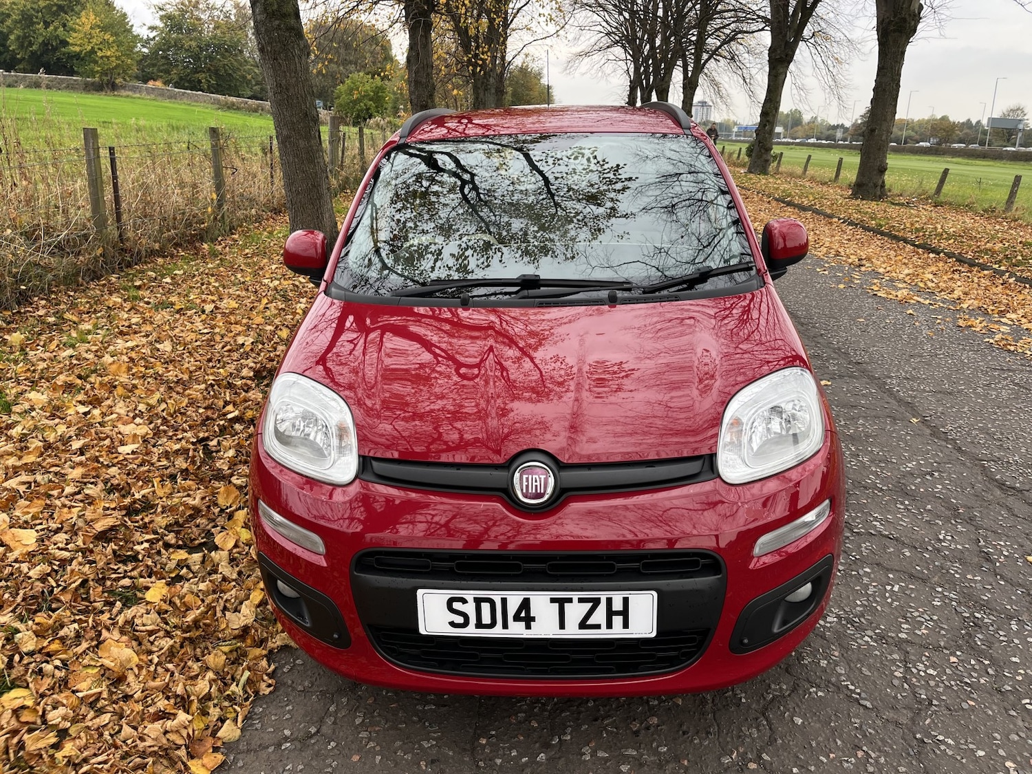 Used Fiat Panda 2014 for sale - 76313986: Photo 14