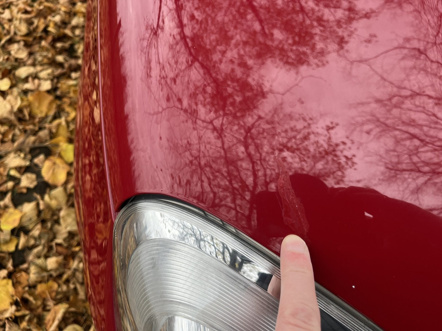 Used Fiat Panda 2014 for sale - 76313986: Photo 23