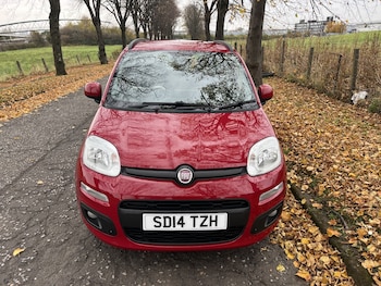 Used Fiat Panda 2014 for sale - 76313986: Photo
