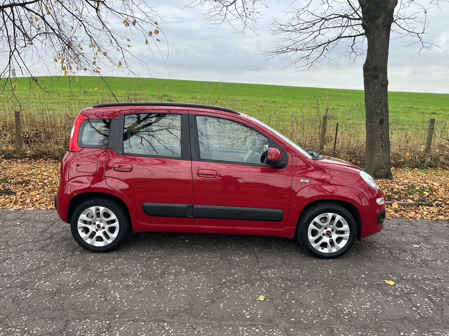 Used Fiat Panda 2014 for sale - 76313986: Photo 5