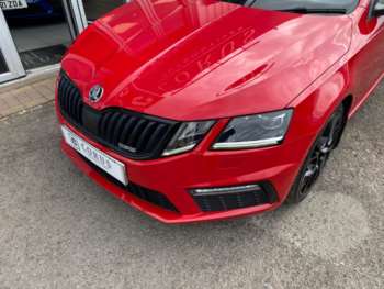 Used Skoda Octavia 2019 for sale - 74476717: Photo