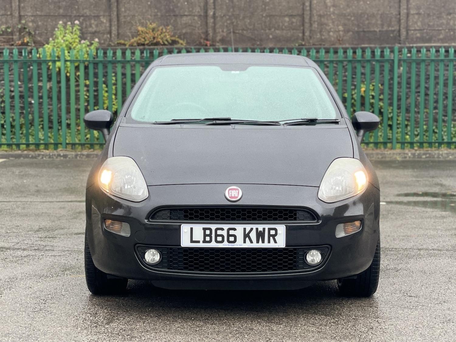 Used Fiat Punto 2017 for sale - 76559998: Photo 10