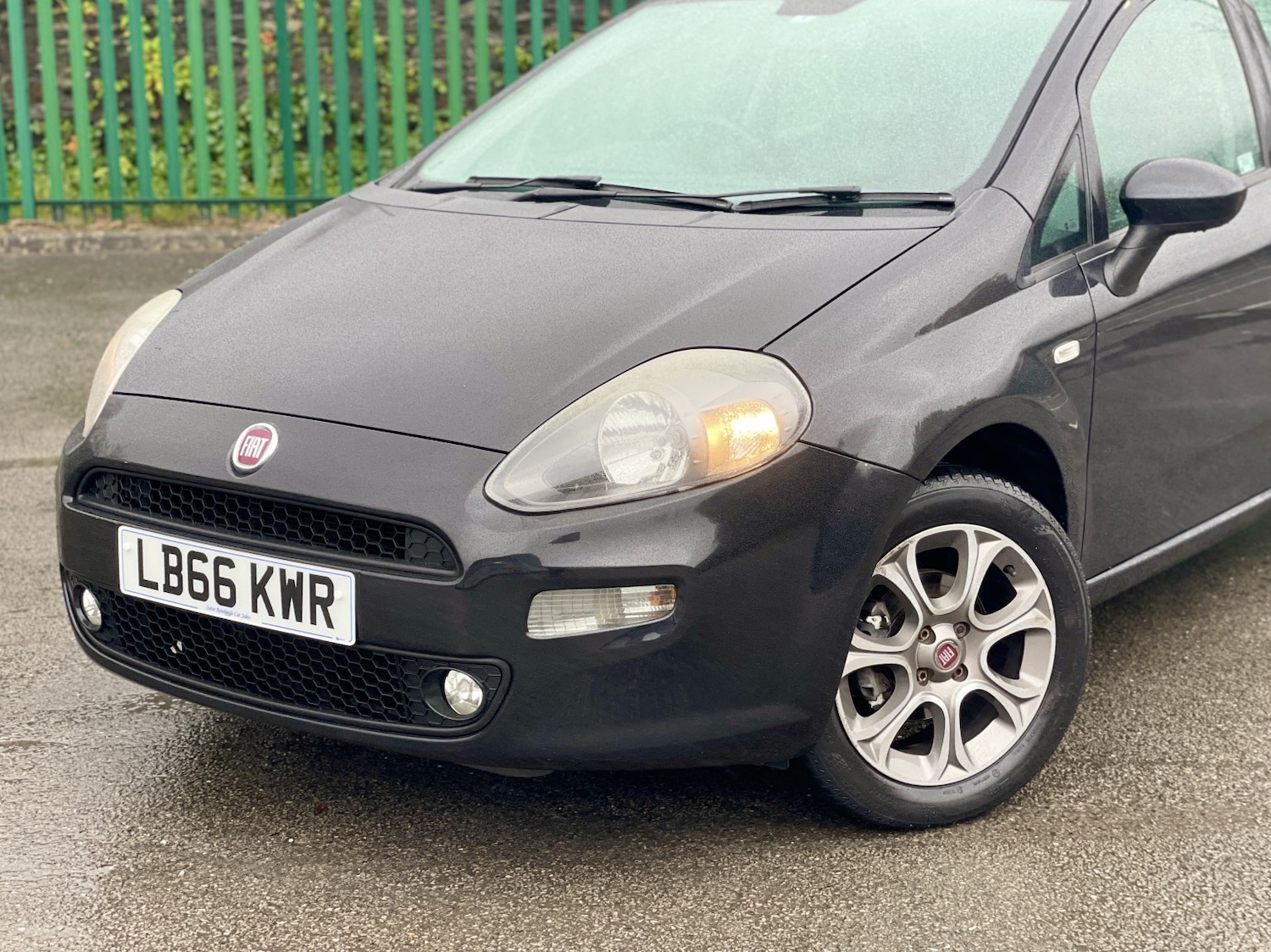 Used Fiat Punto 2017 for sale - 76559998: Photo 13