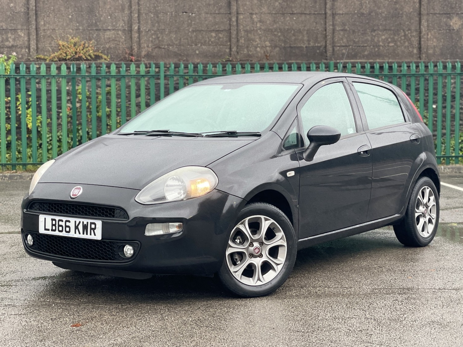 Used Fiat Punto 2017 for sale - 76559998: Photo 3