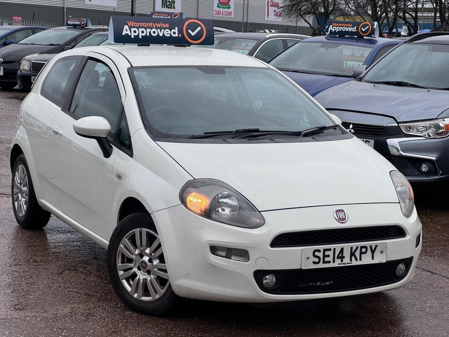 Used Fiat Punto 2014 for sale - 76767434: Photo 11