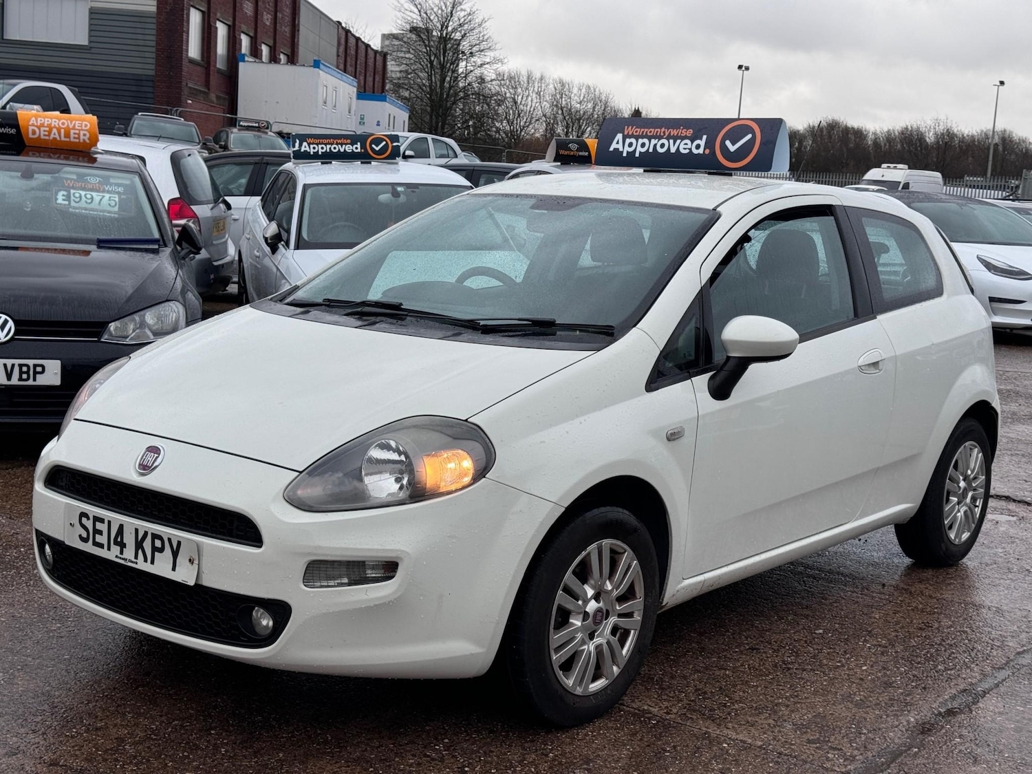 Used Fiat Punto 2014 for sale - 76767434: Photo 29