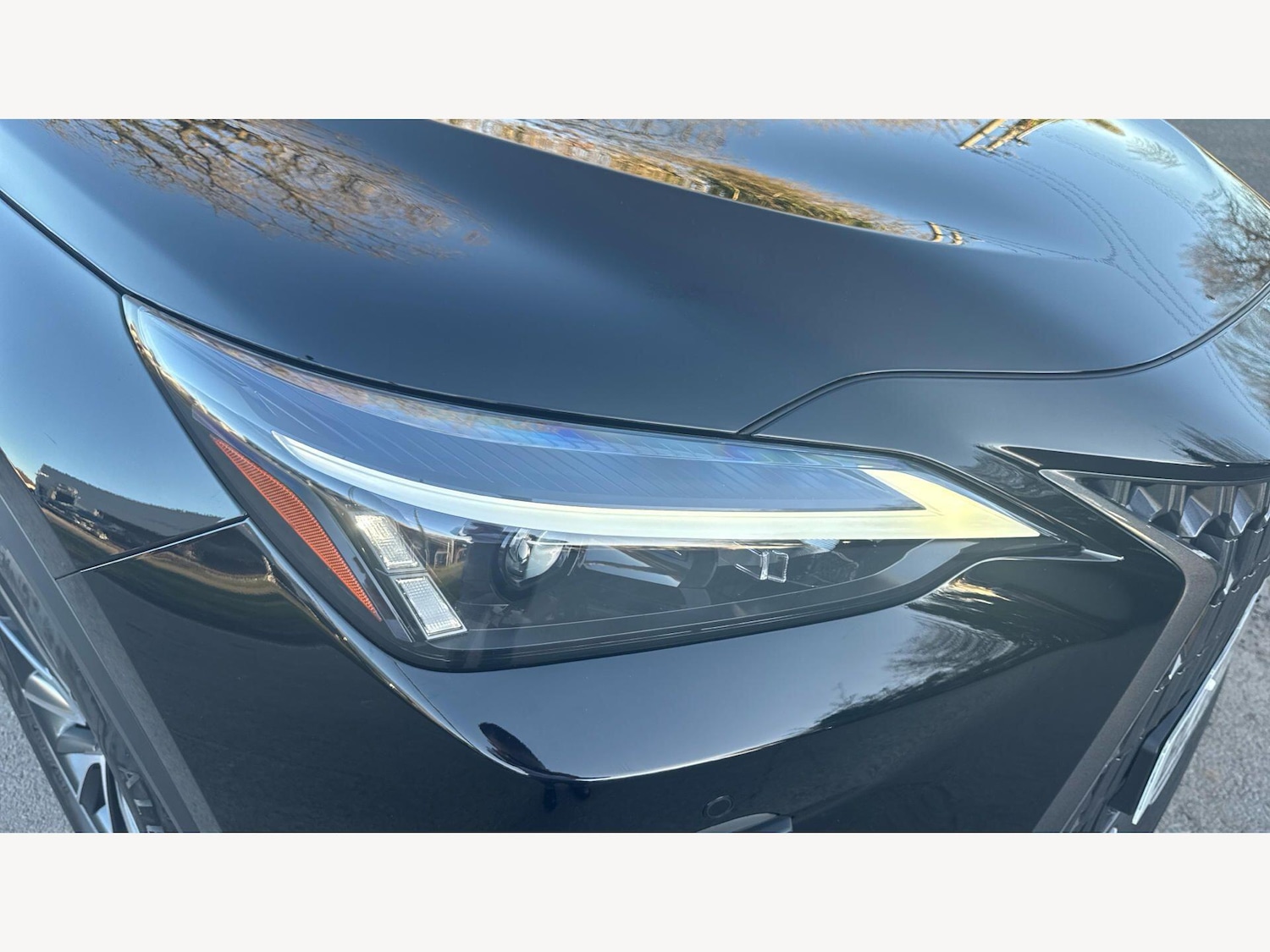 Used Lexus NX 2023 for sale - 77957323: Photo 28