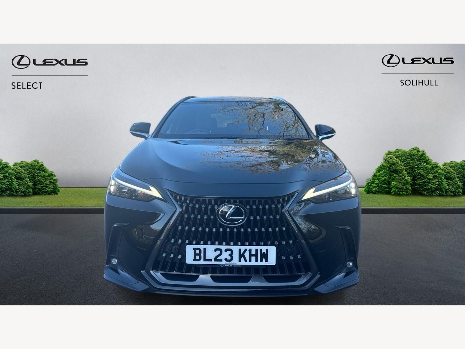 Used Lexus NX 2023 for sale - 77957323: Photo 6