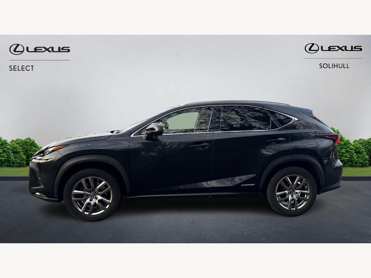 Used Lexus NX 2019 for sale - 76942631: Photo 3