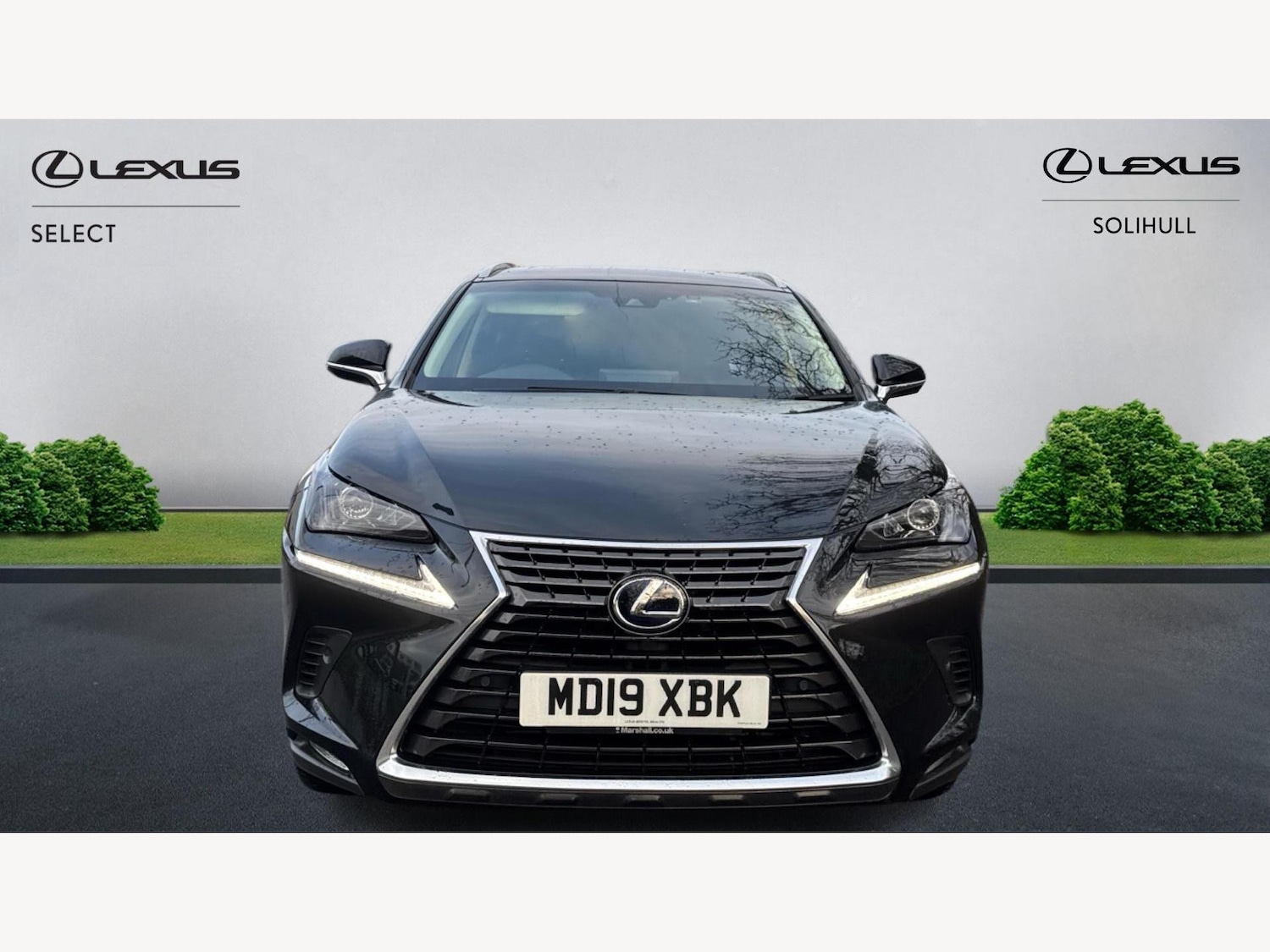 Used Lexus NX 2019 for sale - 76942631: Photo 6