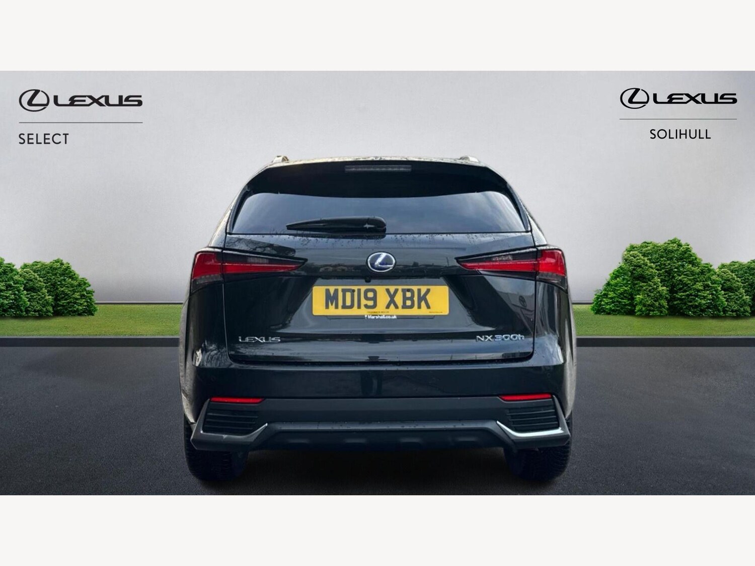 Used Lexus NX 2019 for sale - 76942631: Photo 7