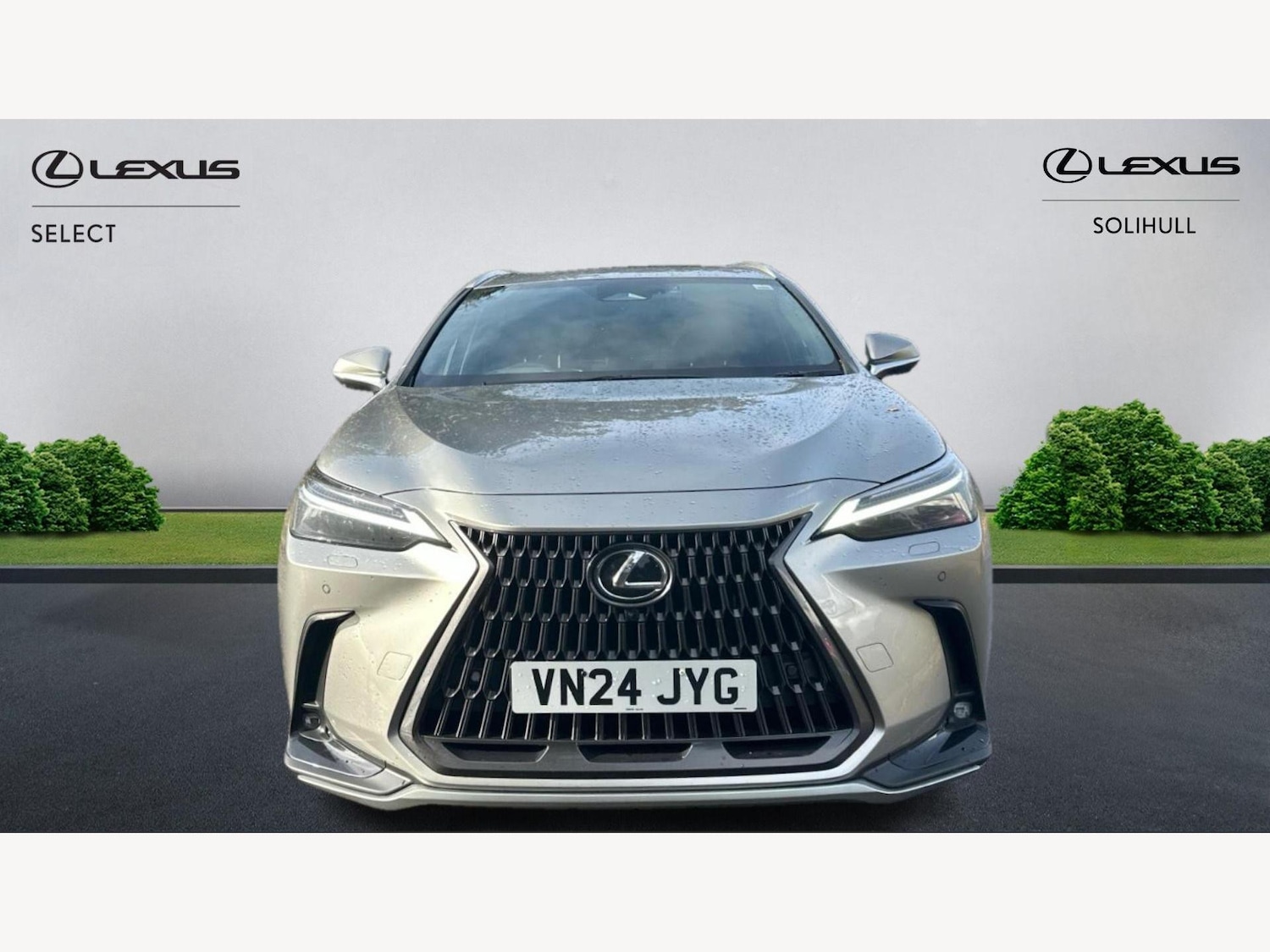 Used Lexus NX 2024 for sale - 76441401: Photo 6