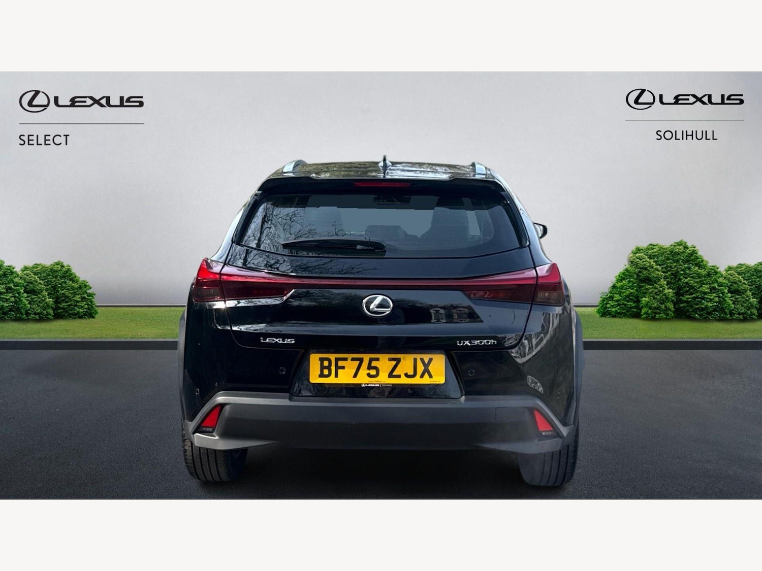 Used Lexus UX 2025 for sale - 78057622: Photo 7