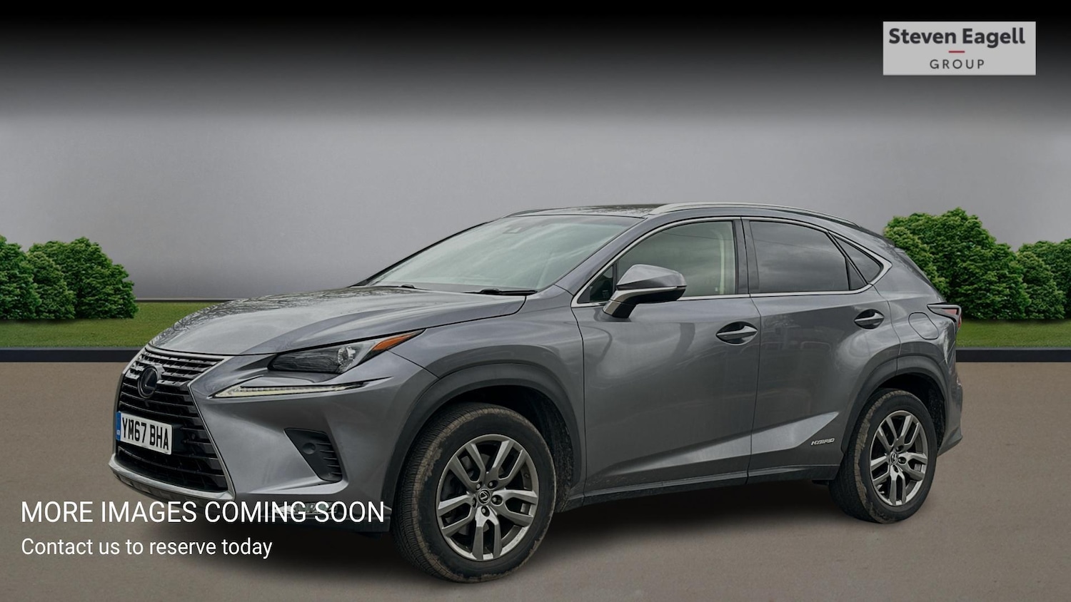 Used Lexus NX for sale - 77769040: Photo 3