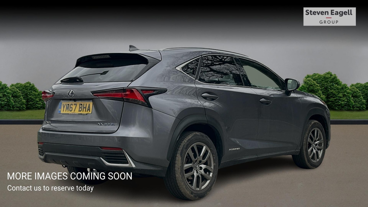 Used Lexus NX for sale - 77769040: Photo 4