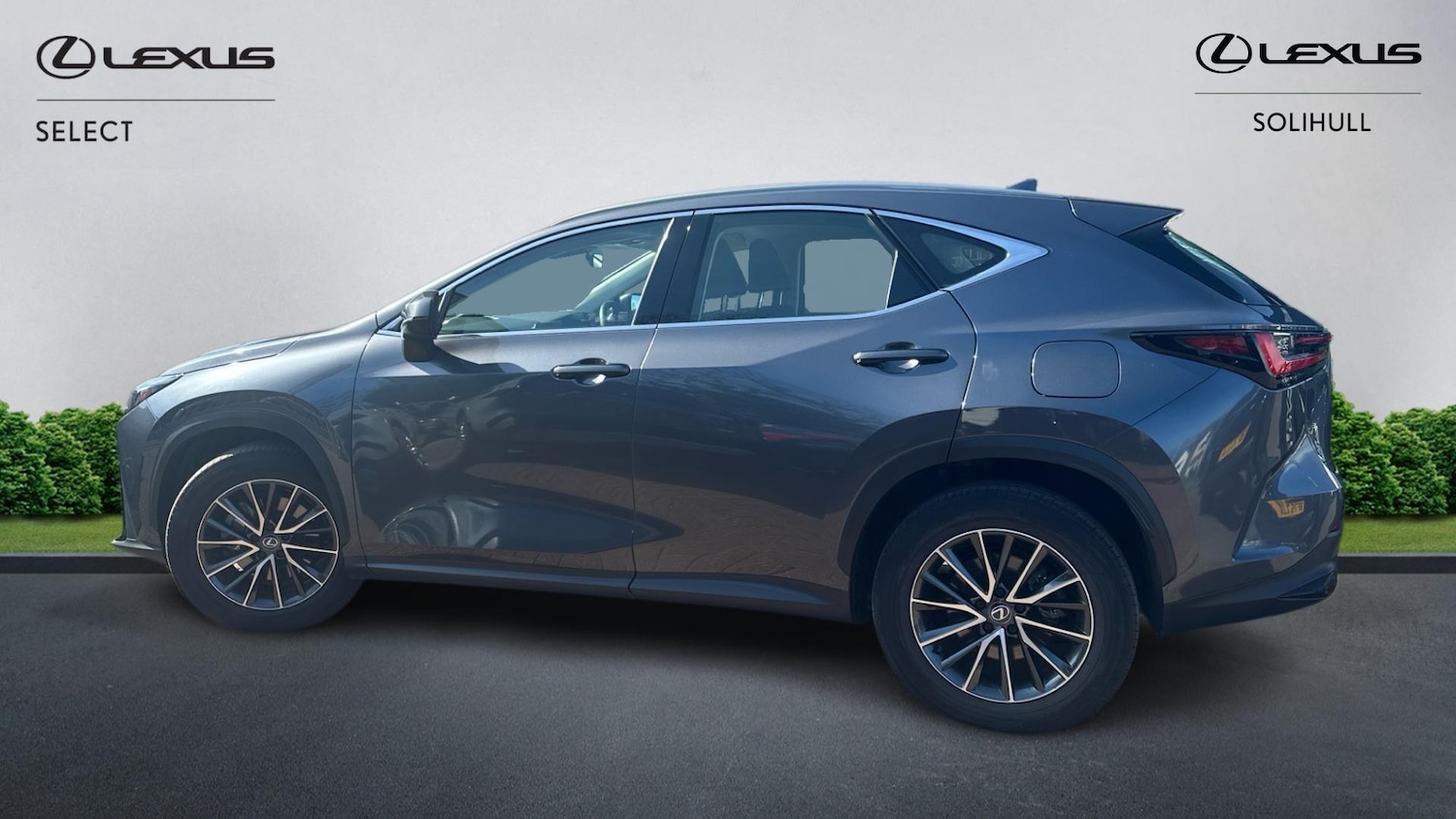 Used Lexus NX 2023 for sale - 78184899: Photo 3