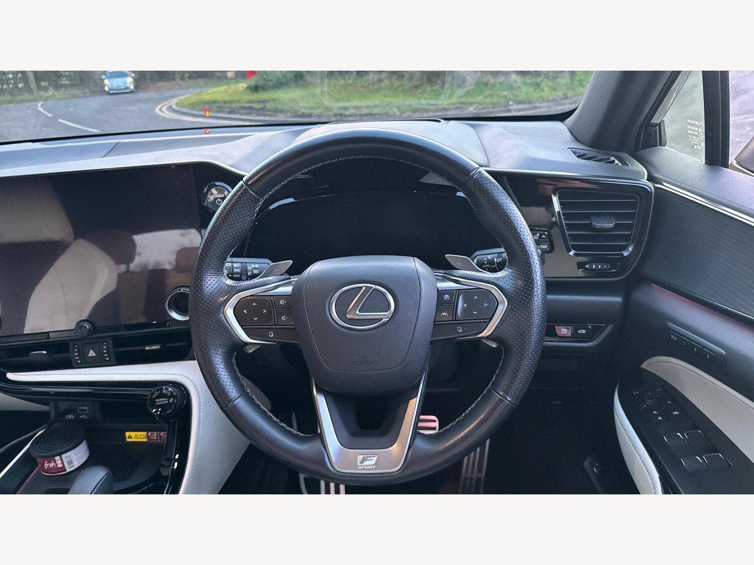 Used Lexus NX for sale - 77320311: Photo 10