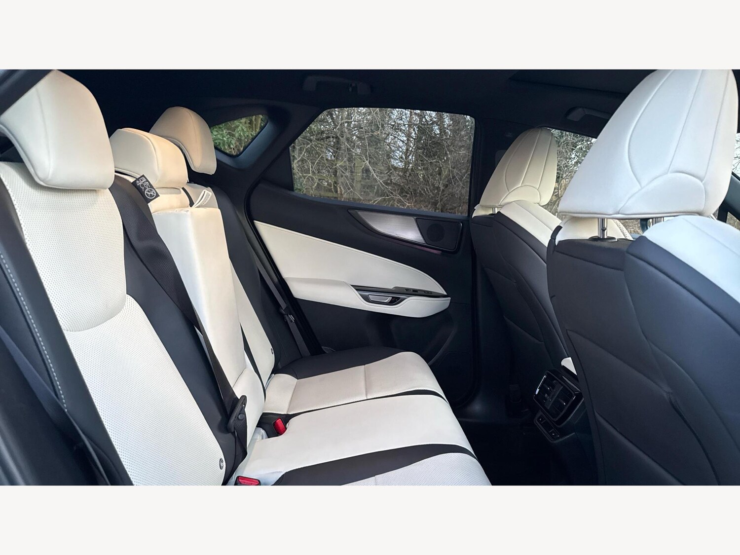 Used Lexus NX for sale - 77320311: Photo 11