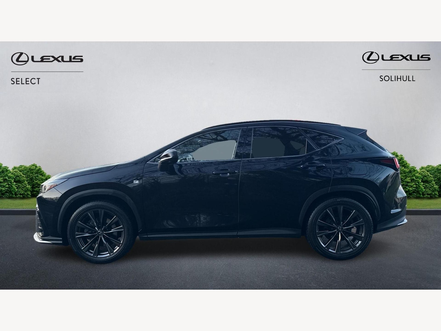 Used Lexus NX for sale - 77320311: Photo 3