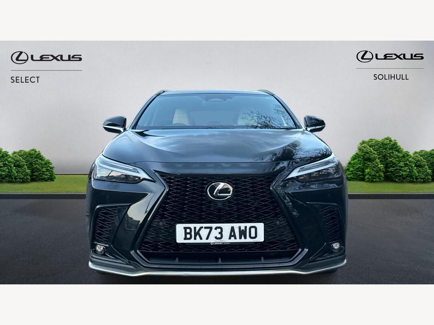 Used Lexus NX for sale - 77320311: Photo 6