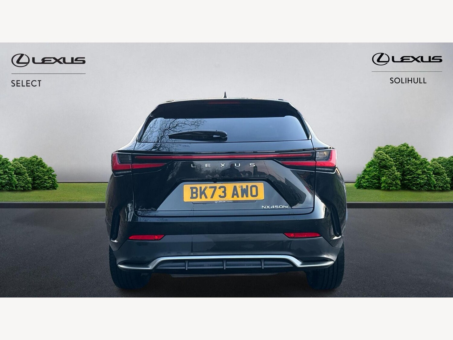 Used Lexus NX for sale - 77320311: Photo 7