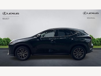 Used Lexus NX 2024 for sale - 75927845: Photo
