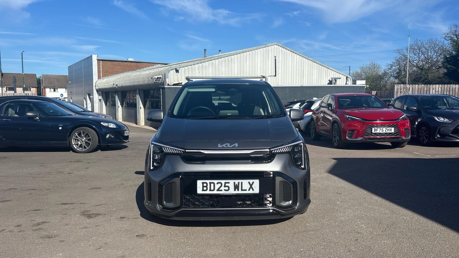 Used Kia Picanto for sale - 78156872: Photo 15