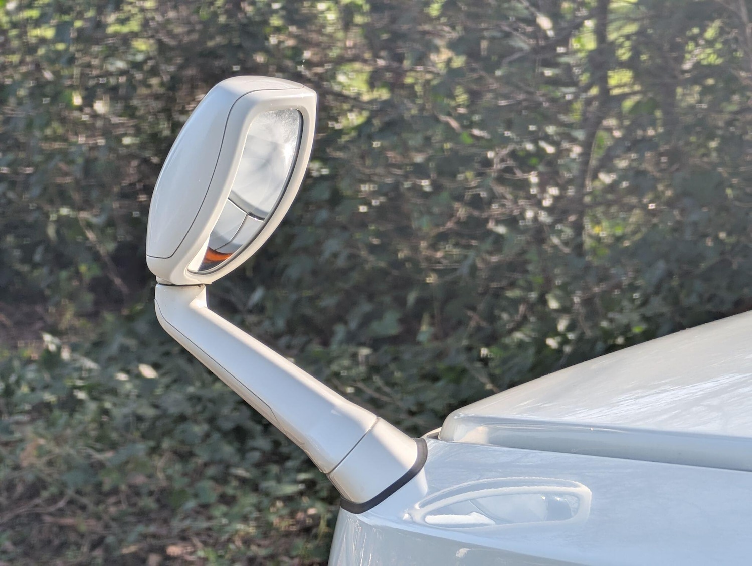 Used Toyota FJ Cruiser for sale - 77768922: Photo 11