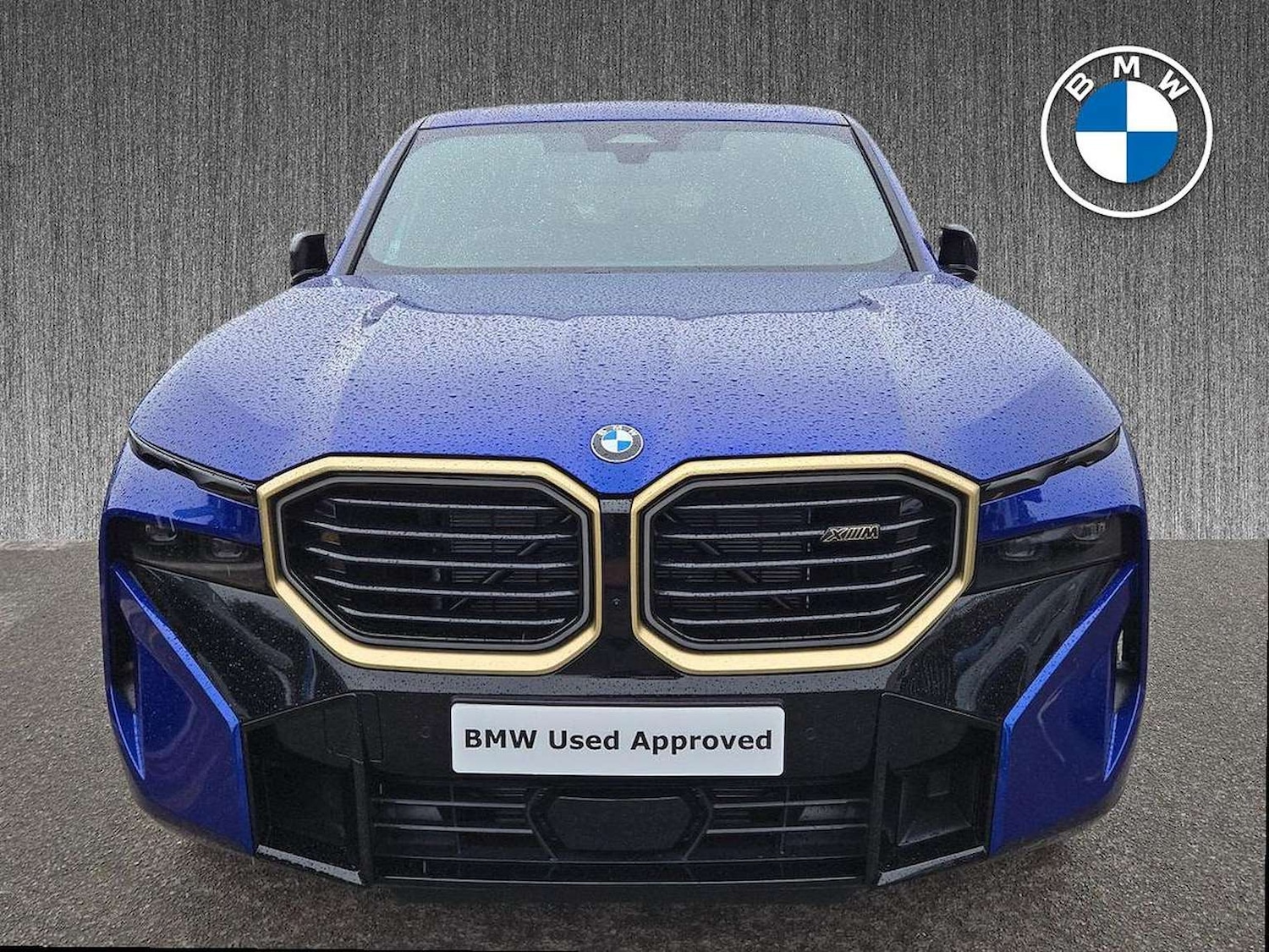 Used BMW XM 2025 for sale - 76596398: Photo 6