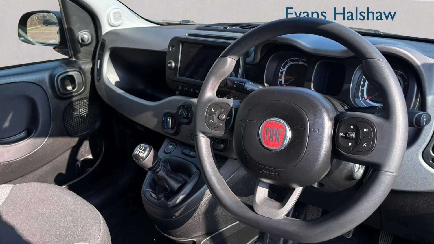 Used Fiat Panda for sale - 77857310: Photo 16