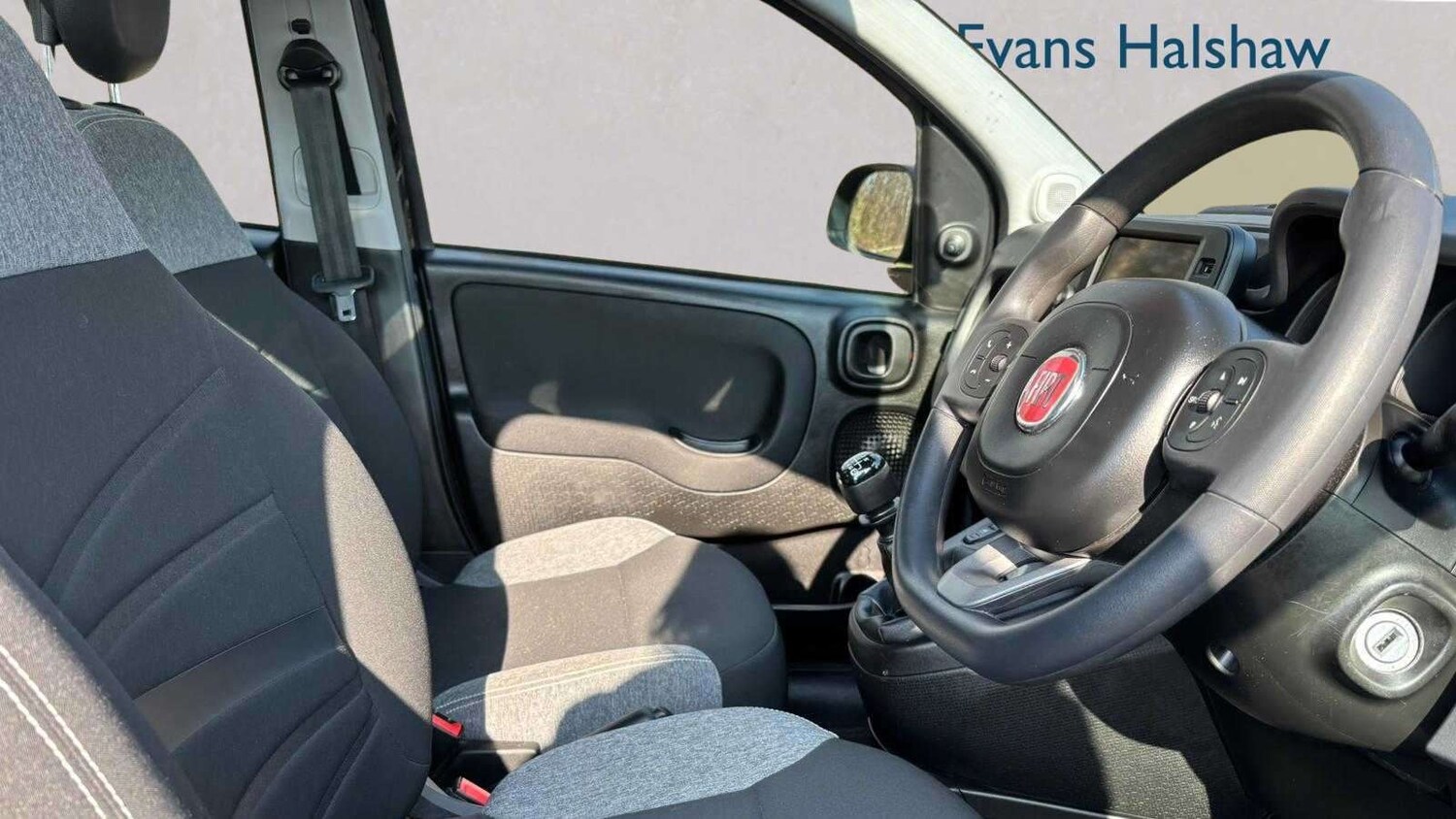 Used Fiat Panda for sale - 77857310: Photo 9