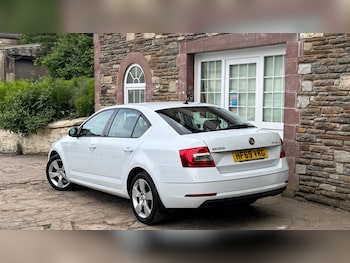Used Skoda Octavia 2019 for sale - 79315407: Photo