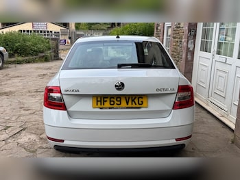 Used Skoda Octavia 2019 for sale - 79315407: Photo